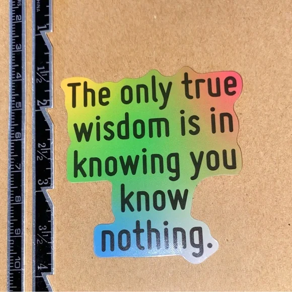 🌈20/$12🌈 Wisdom Sticker - Picture 2 of 3